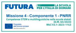 pnrr competenze stem